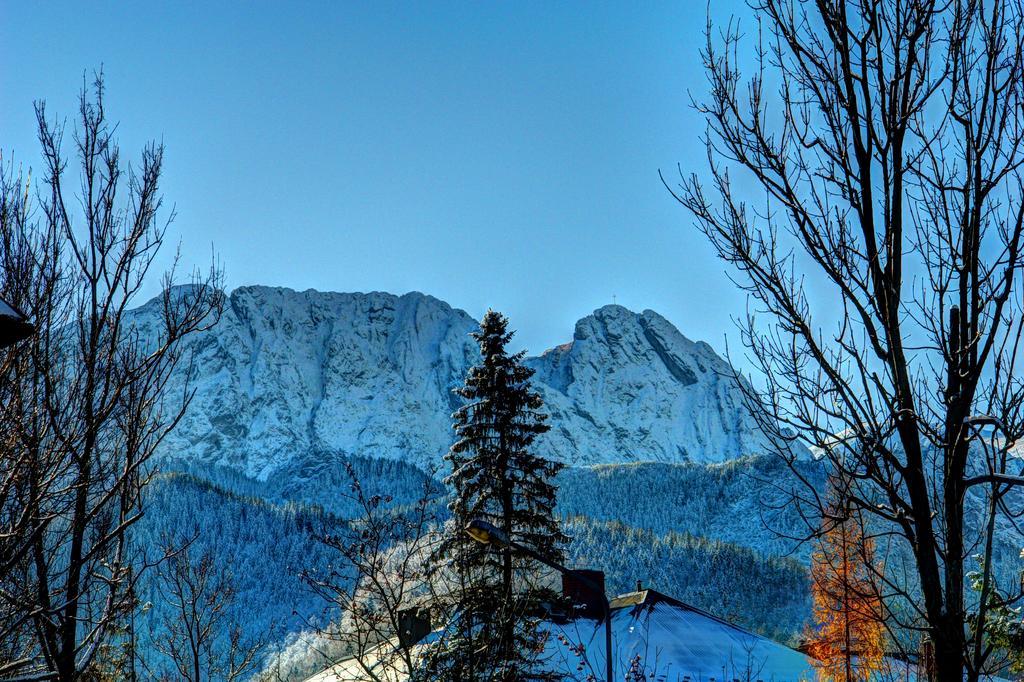 Pensjonat Sosnica Zakopane Zewnętrze zdjęcie